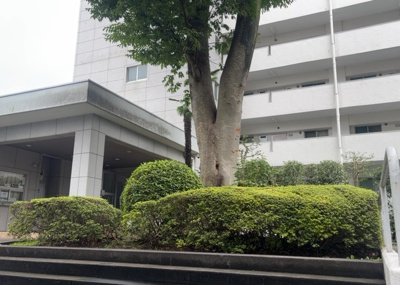【中庭】 | ファミール西八王子 | 中庭（パティオ）とは、一つの建築物の内部に設けられた、壁などで囲われている庭のことを指します。コの字型、ロの字型が主流ですが、L字型の中庭もあります。最近では、インテリア性の高さからも人気があります。
