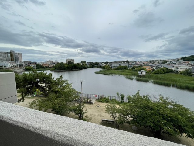 ライブタウン仁川の展望