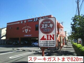 グリシーヌ‐Ｙのその他