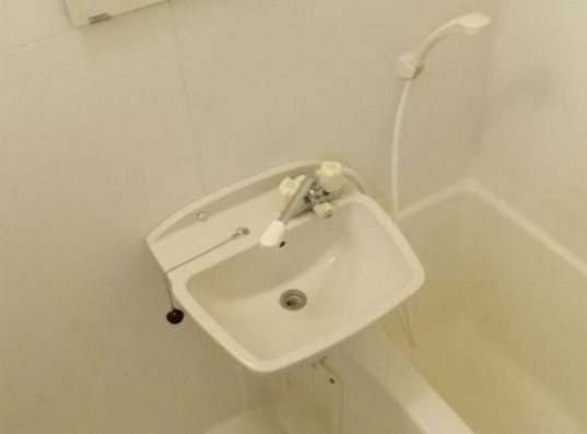 アムール戸山の洗面所