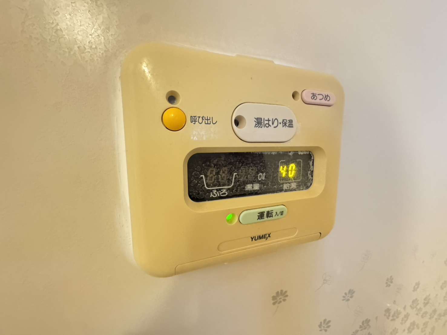 ボナールⅠのその他