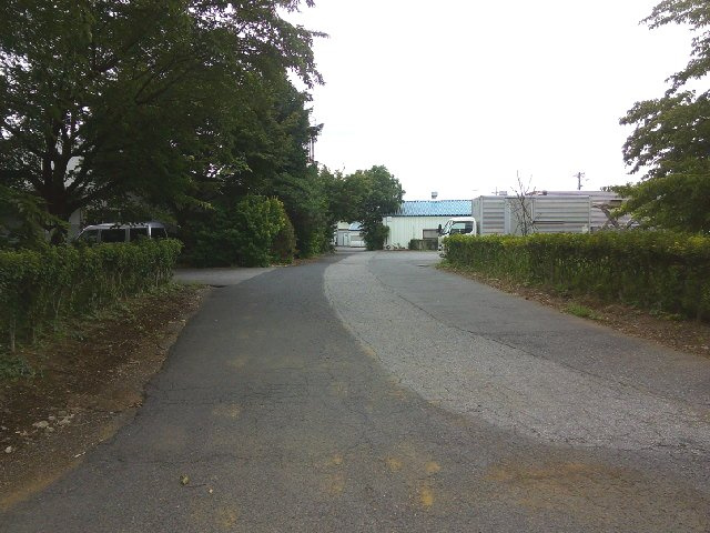 野田市柳沢の倉庫の庭
