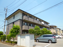 ハイカムールＳの画像
