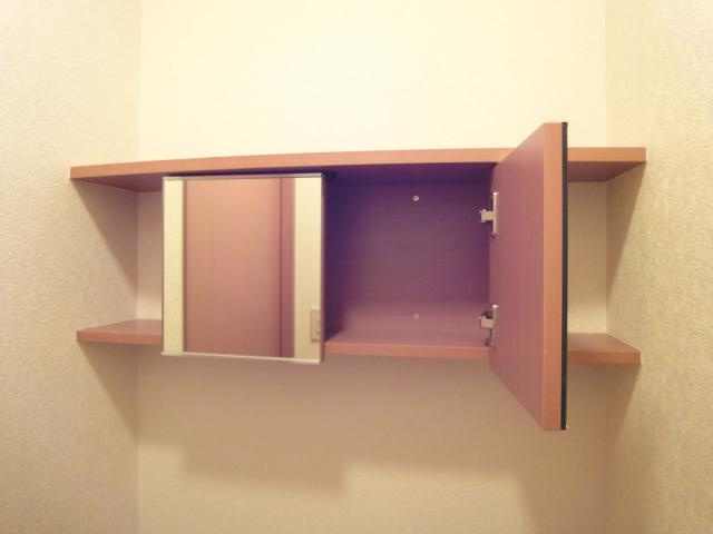 プラセール若林の玄関|トイレ収納