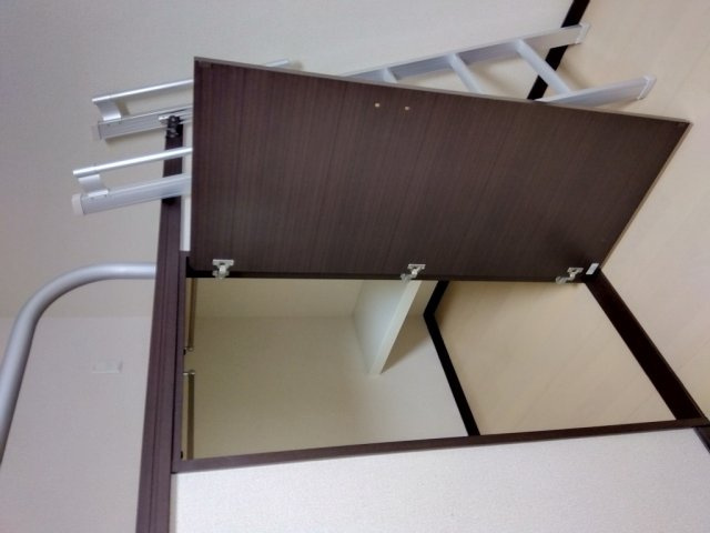 レオネクスト二十四軒の内装|クローゼット