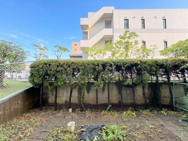 藤和大倉山コープのその他|開放的な空が広がり日当たりの良さが感じられる現地からの眺望です。敷地内には植栽が整備され周囲もすっきりとした印象です。手入れされた植木が視界に入り落ち着いた雰囲気が保たれています。