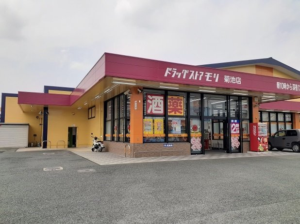 レインボーヒル・ハイツⅢ　Ｂの周辺|ドラッグストアモリ　菊池店まで1100m