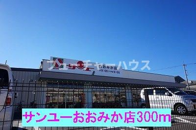クレストール１０３７Ｃの周辺|サンユーおおみか店まで300m