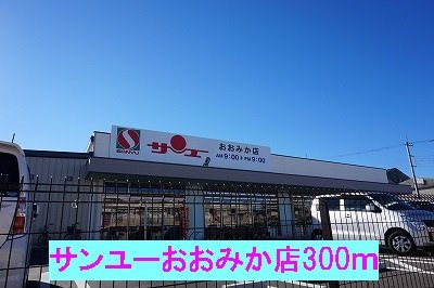 クレストール１０３７Ｃの周辺|サンユーおおみか店まで300m