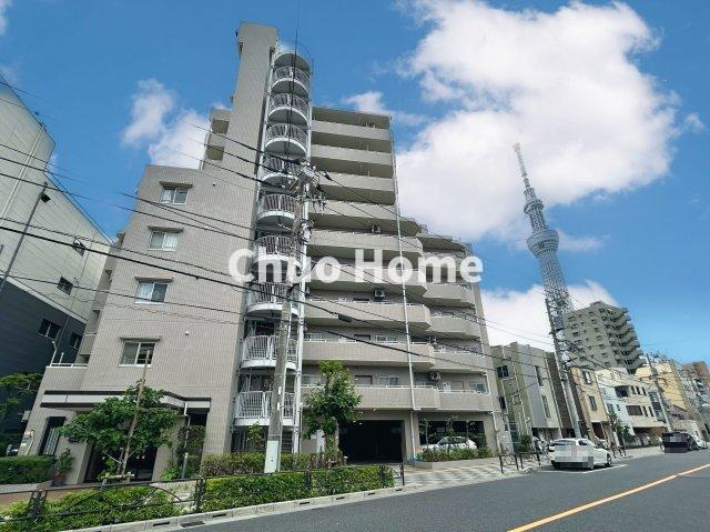 東急ドエル・アルス向島の外観|外観