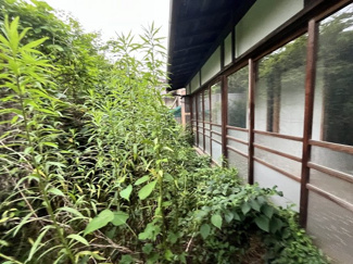 【庭】 | 西脇市和田町　戸建て