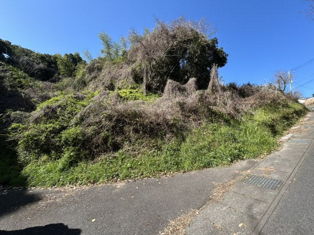 鹿児島県鹿児島市吉野町878-5の外観