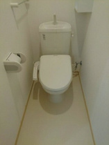 落ち着いた色調のトイレです