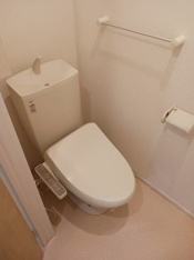 落ち着いた色調のトイレです