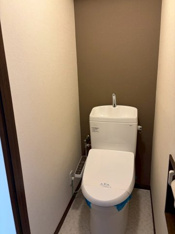 落ち着いた色調のトイレです