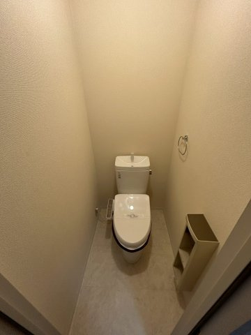 ドミールほづみのトイレ