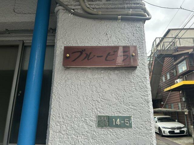 ブルービラのその他| 