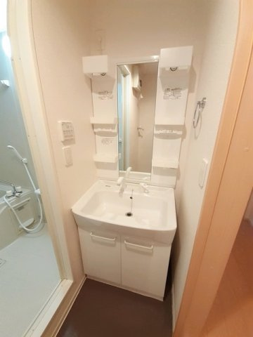 グランディール藤川の洗面所