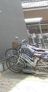 リブリ・シェーヌのその他共用部分