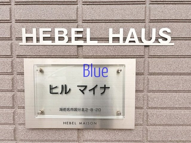 【その他】 | ヒルマイナ