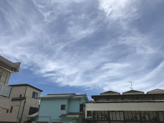 リブリ・ソフィア中央の展望
