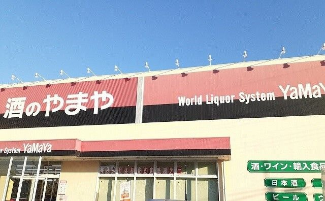 モデッサ　フェリーチェのその他