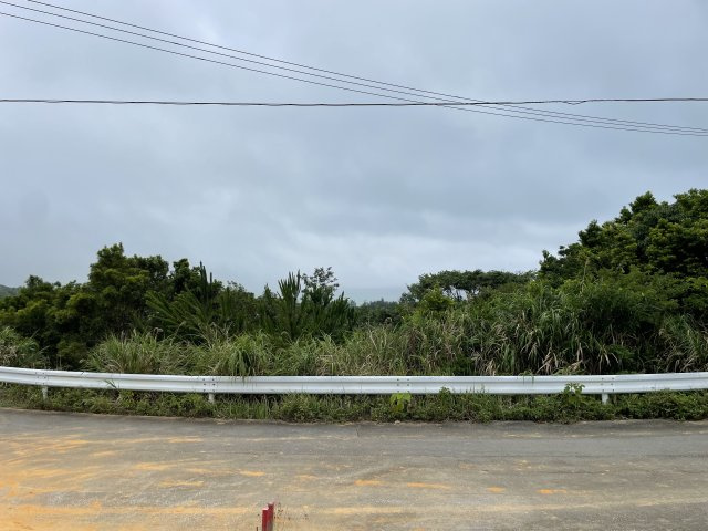東村川田土地の展望