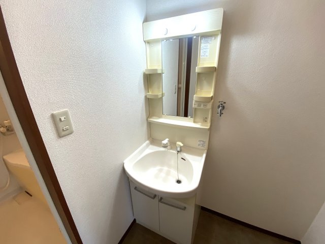 セジュン　Ｃ棟の独立洗面台