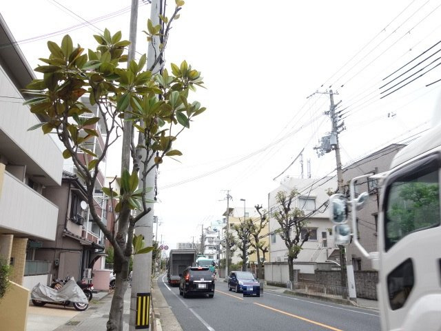 アロハ舞子の展望