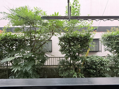 【展望】 | ウィスタリア