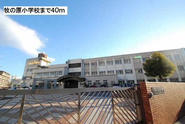 マリーン牧の原の周辺|牧の原小学校まで40m