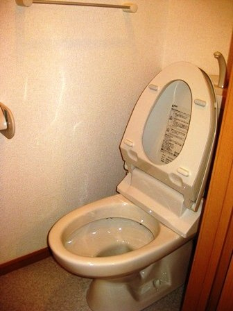 コートデイジーＢのトイレ