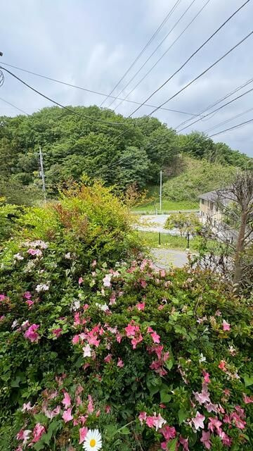 八王子市長沼町のアパートの展望