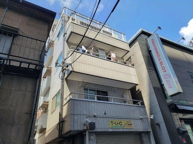 シティコアオオジマの画像