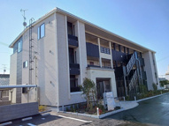 リビオ　ＭＩＹＡＢＩの画像