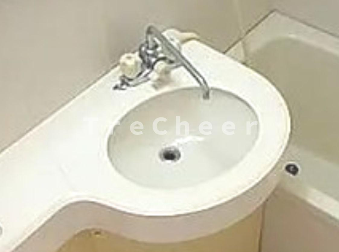 ヴィラ西台の洗面所