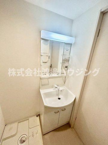 リブリ・カルム大日の洗面所