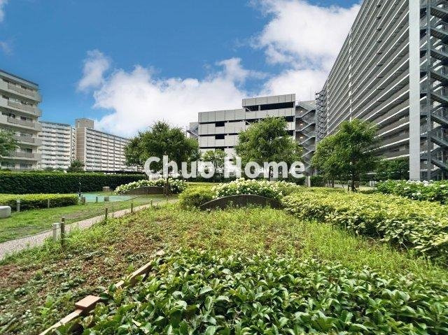 スターコート豊洲の現況写真|敷地内には緑が多く住環境良好です