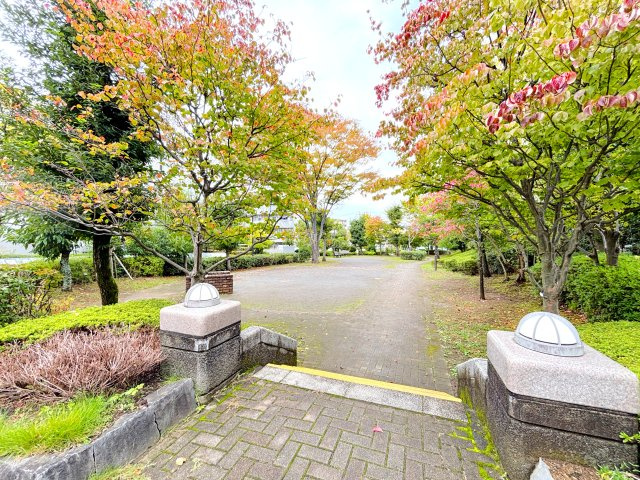 の-の画像