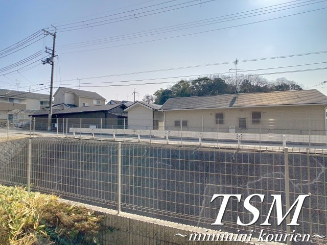 アンプルールフェールベレーザの展望
