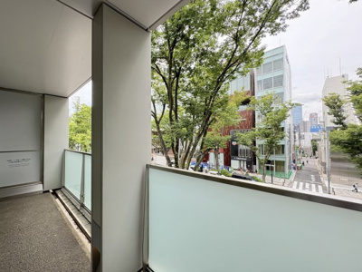 【展望】 | 表参道ヒルズゼルコバテラスW