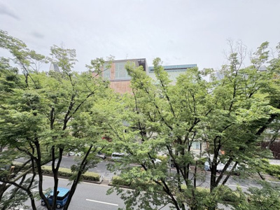 【展望】 | 表参道ヒルズゼルコバテラスE