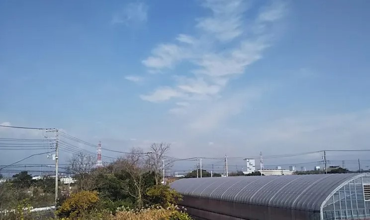レオパレスアドゥスィールの展望