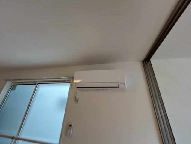 ヴェラ ロホのその他