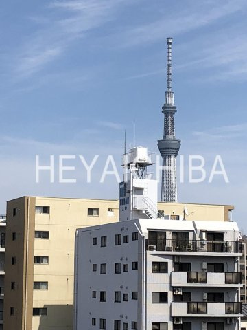 シナノレジデンスの展望|バルコニーからスカイツリーが見えます。