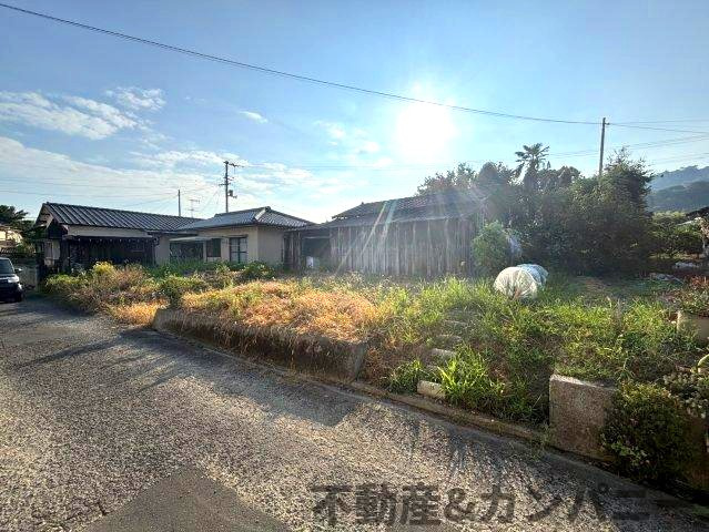 伊予市上吾川のおトチ