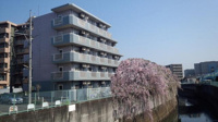 アムール祥外観写真