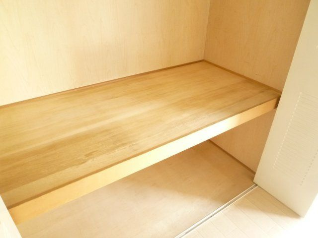難波パークハウスの収納