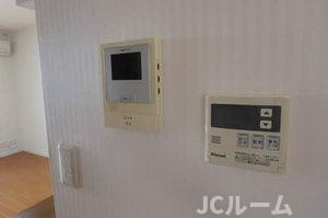 ティザンヌのセキュリティ