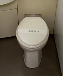 第２７宮庭マンション　テ１００のトイレ